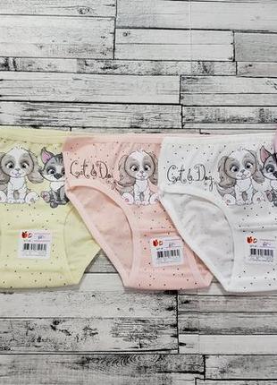 Трусики donella р.0/1