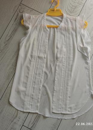 Блузка,блуза 3