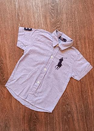 Сорочка ralph lauren
