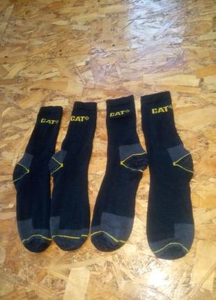 Шкарпетки носки cat