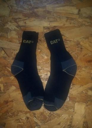 Шкарпетки носки cat1 фото