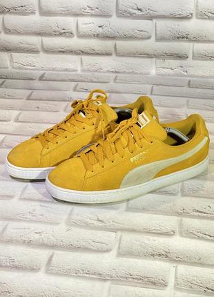 Кроссовки puma3 фото