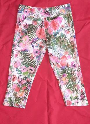 🔥🔥🔥 usa pro