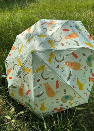 Зонт зонт зонта9 фото