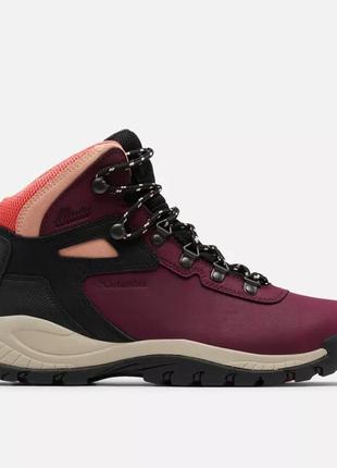 Женские водонепроницаемые ботинки columbia sportswear Belted newton ridge plus waterproof hiking boot
