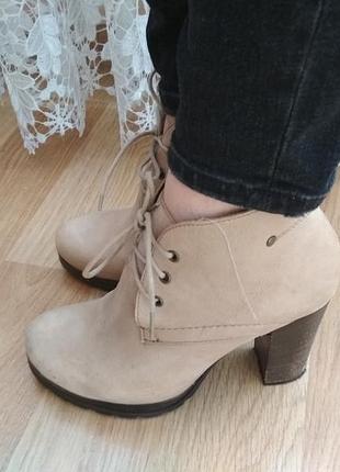 Шкіряні мега зручні черевики,черевички next 38р