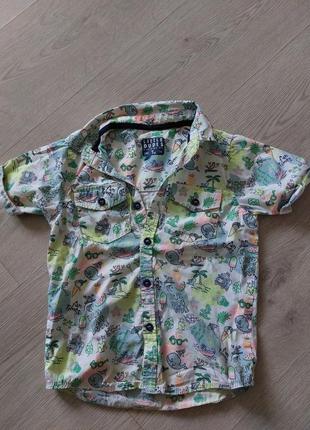 Рубашка літня на хлопчика 4-5 років (104-110 см) бавовняна1 фото