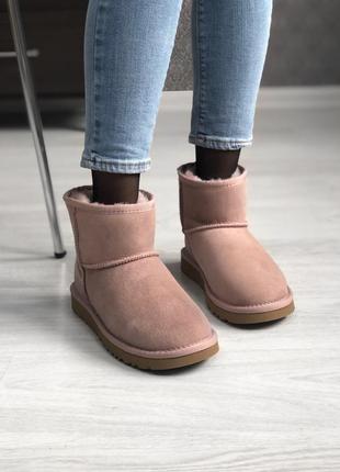 🤩ugg classic short dus🤩зимние женские розовые кожаные угги/сапоги/уги4 фото