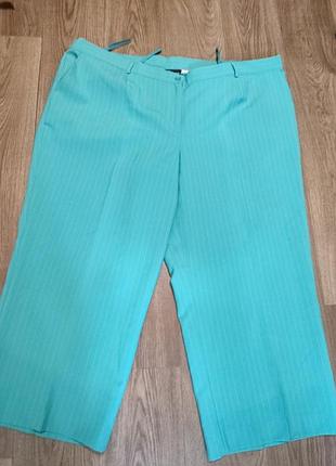 Бриджи класика