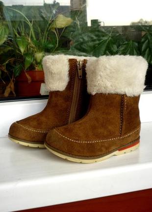 Зимние  замшевые сапожки   "clarks". англия. 22.5 р.5 фото