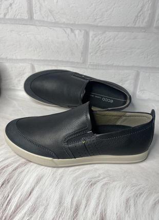 Collin ecco best sale