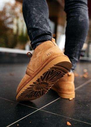 Шикарные мужские теплые зимние ботинки ugg neumel “chestnut”4 фото