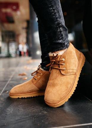 Шикарные мужские теплые зимние ботинки ugg neumel “chestnut”3 фото