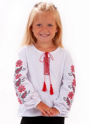 Мила вишиванка для дівчаток