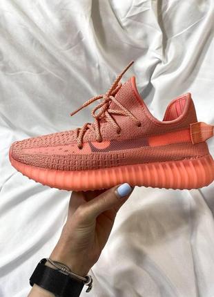 Жіночі кросівки adidas yeezy boost 350 coral (рефлективні шнурки) / smb1 фото