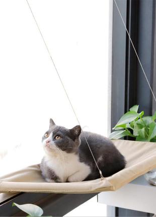 Оконная лежанка для кошек taotaopets 072202 на присосках подвесная 55*35cm dm_11