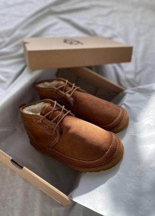 Женские ugg  угги