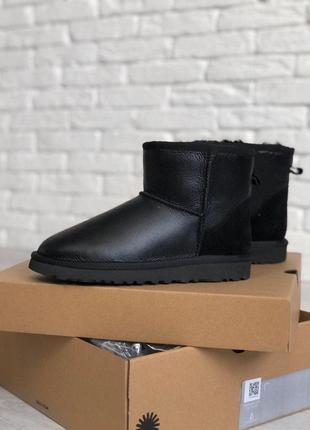 Шикарні жіночі шкіряні зимові уггі/ чоботи sneakers ugg Benson Dove Women S Buckle Sheepskin Ankle Bootie 😍 (з хутром)