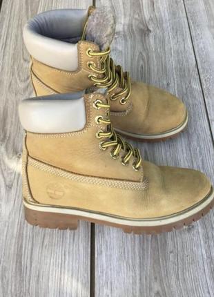 Черевики timberland класичні класика ботинки