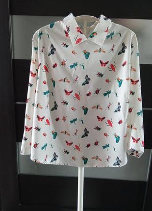 Блуза,блузка 3