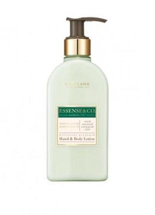 Лосьйон для рук і тіла бузина та бергамот essense &amp; co oriflame