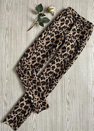 Брюки лео esmara