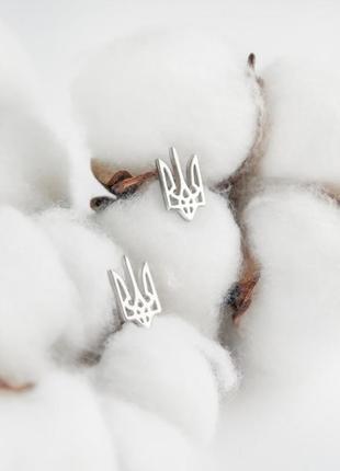 Срібні сережки пусети герб україни вс-452р