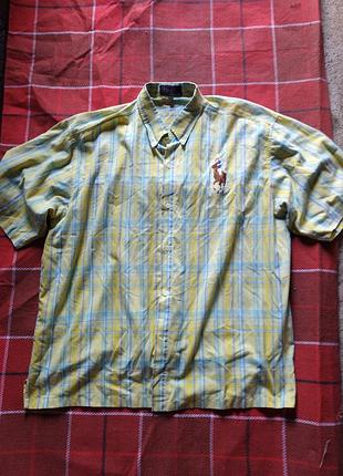 Рубашка мужская размер xxl polo