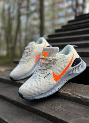 Кроссовки nike pegasus