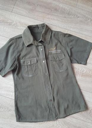 Сорочка котон