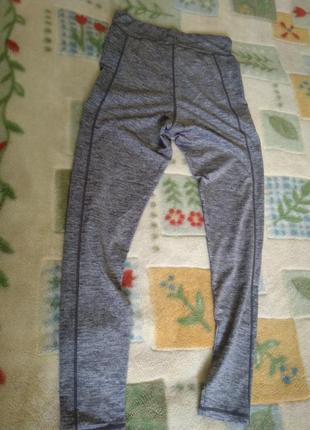 Лосины/h&m