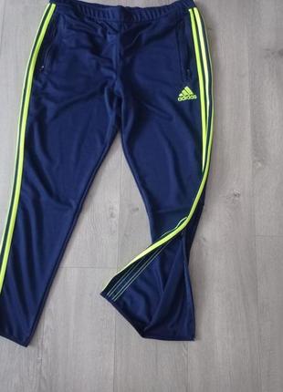 Классные спортивные штаны adidas3 фото
