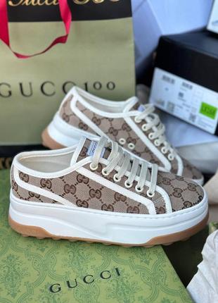 Кеди gucci3 фото