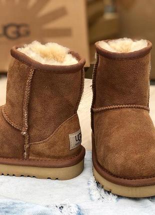 Угги угги сапоги детские сапоги валенки ugg kids classic 52511 фото