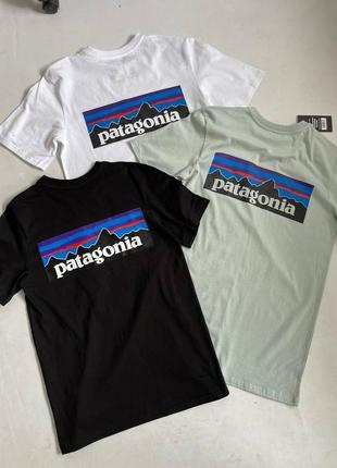 Чоловіча футболка patagonia