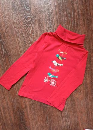 Гольф водолазка dpam