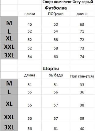 Чоловічий літній спортивний костюм сірий ( шорти + футболка ) на літо4 фото