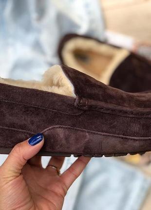 Уггі угги чоботи чоловічи мокасини ugg ascot-suede 57753 фото