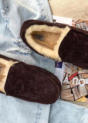 Угги угги сапоги мужские мокасины ugg ascot-suede 5775