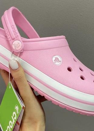 Шльопанці жіночі crocs pink classic