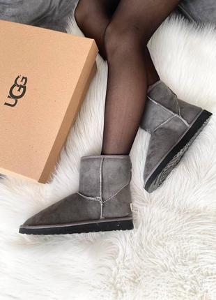 Женские ботинки ugg vegan grey сапоги, угги зимние