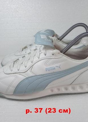 Кроссовки puma1 фото