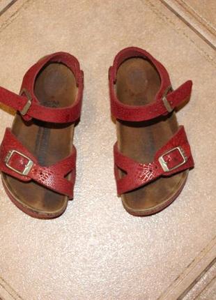 Детские ортопедические босоножки сандалии birkenstock р.24