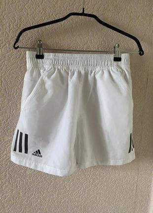 Шорти adidas чоловічі