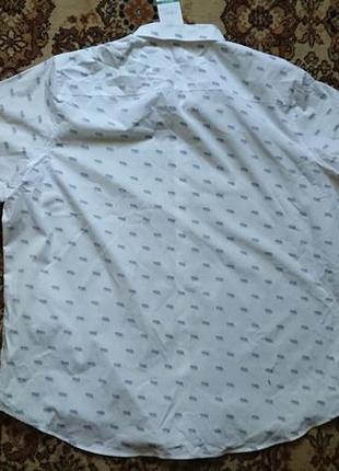 Брендовая фирменная хлопковая рубашка рубашка сорочка next,новая с бирками, большой размер 4xl.3 фото