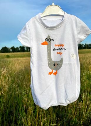 Пісочник