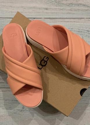 Шлепанцы ugg р. us8,5/uk6,51 фото