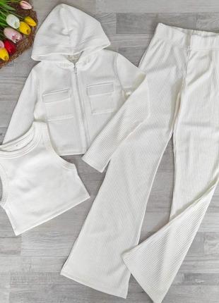 Стильный костюм тройка