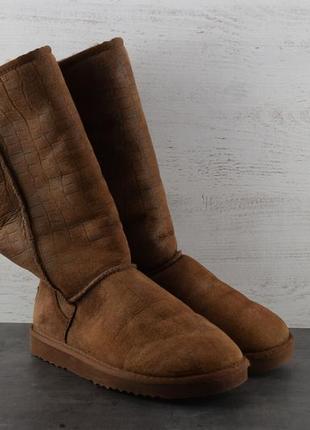 Чоботи ugg australia. розмір 381 фото