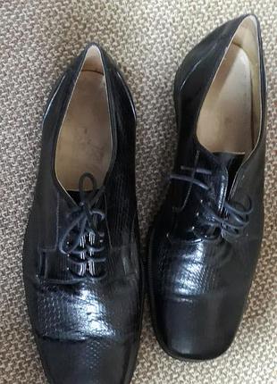 Туфлі шкіра evi collezioni